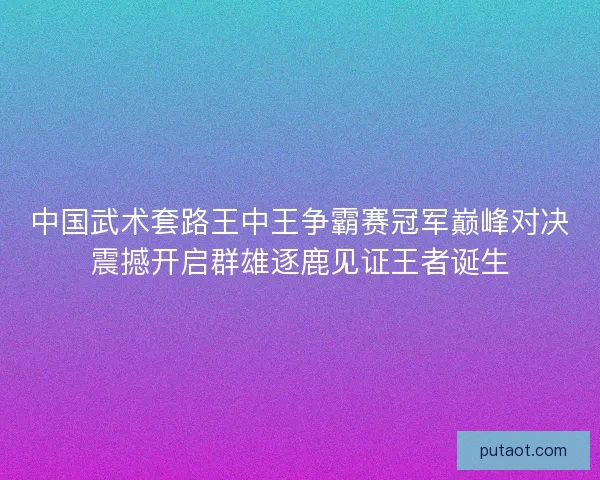 中国武术套路王中王争霸赛冠军巅峰对决震撼开启群雄逐鹿见证王者诞生 中国武术套路王中王争霸赛冠军巅峰对决震撼开启群雄逐鹿见证王者诞生